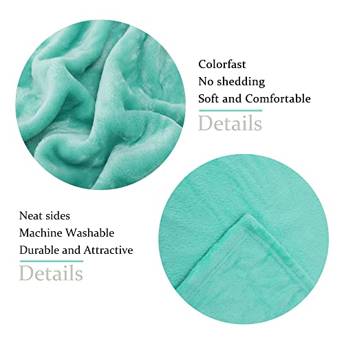Image of NANPIPER Fleece Blankets Super Soft Flannel Fuzzy Blanket for Bed Couch Luxury Cozy Plush Microfiber Blanket-Twin Size Lake Blue