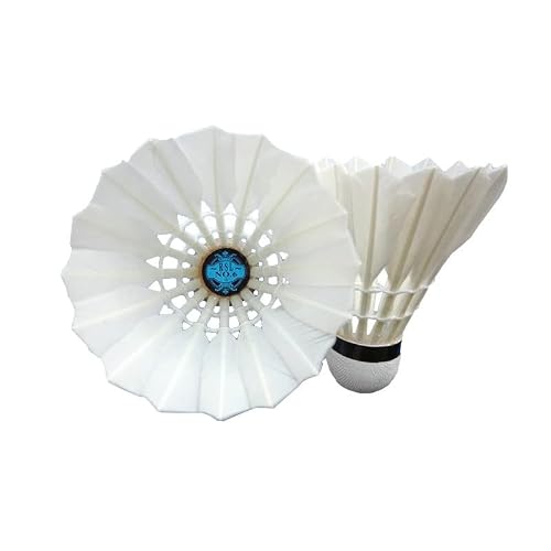 RSL No.6 Tourney Badminton Shuttlecock Birdy 12-Pack (speed-77)