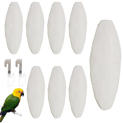 GXGM 8 Piezas Juguetes pájaros Hueso de Sepia Juguetes para Masticar Loros para Pájaro, Loro, Reptiles, Tortugas, Caracoles