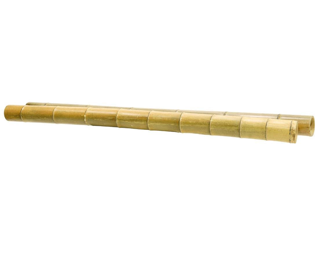 Bambusrohr XL hitzebehandelt 200cm 14-16cm Durchmesser