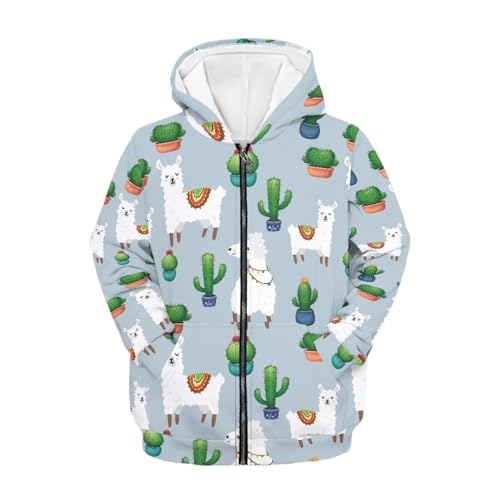 Image of Unisex Zipper Sweatshirt Boys Girls Hooded with 2 Pocket Pullover Hoodies for 6-16Y Kids