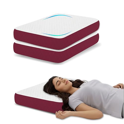 Image of High Density Shredded Memory Foam Pillow Set of 2, 60x38x10 cm Orthopedic Neck Relief, White /Maroon Geometric Jacquard Case, Aligned Spine Bedding for Side