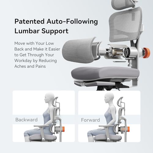 Image of Newtral Office Chair Ergonomic - Home Office Desk Chair, Big and Tall Office Chair, Auto-Following Lumbar Support for Back Pain, Adjustable Seat Depth and Height (with Footrest, Gray)