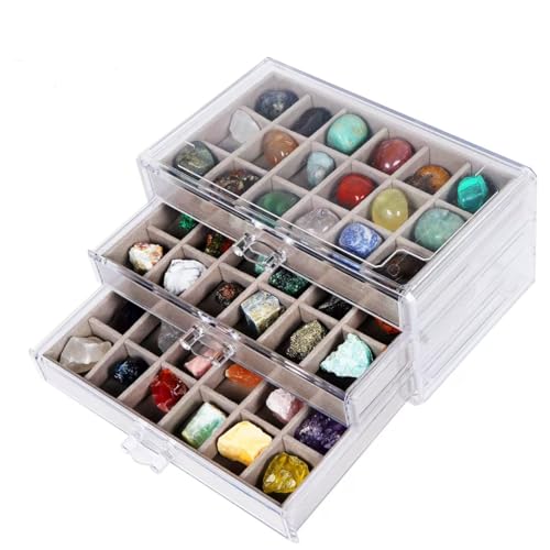 Rock Collections Box for Kids - Rock Display Case for Collectibles - Rock Collection Storage - Display Shelf for Collectibles - Rock Collection Display Case