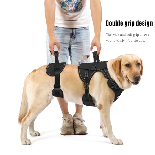 Image of NOYAL Dog Lift Harness for Senior & Injured Pets - Full-Body Support Sling with Breathable Mesh, Front /Rear Leg Assist for Arthritis, Hip Dysplasia & Post-Surgery Recovery (Medium-Large Breeds)