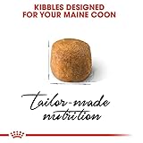 Royal Canin Maine Coon Adult | 400 g | Trockenfutter für Katzen | Angepasst auf den Bedarf von Maine Coon Katzen