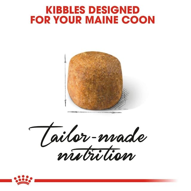Royal Canin Maine Coon Adult | 400 g | Trockenfutter für Katzen | Angepasst auf den Bedarf von Maine Coon Katzen