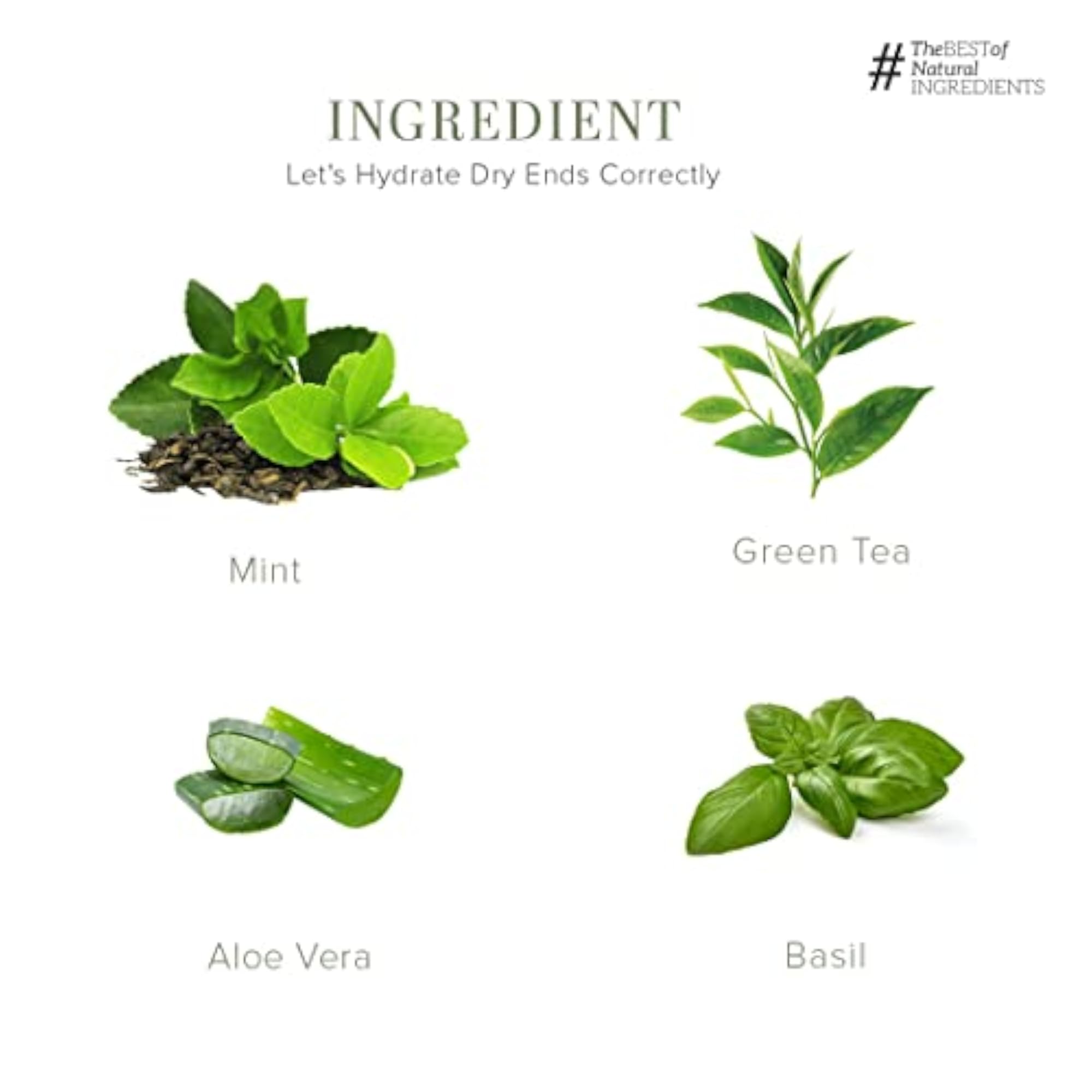 Green Tea and Mint Herbal Body Wash 210 ml, SLS and Paraben Free