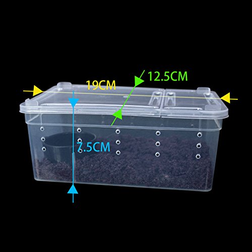OMEM Portable Reptile Terrarium Habitat for Mini Pet Houses Breathable Holes Stackable Container - Image 4