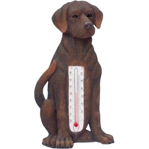 Spoontiques Chocolate Labrador Indoor/Outdoor Thermometer Amazon.ca
