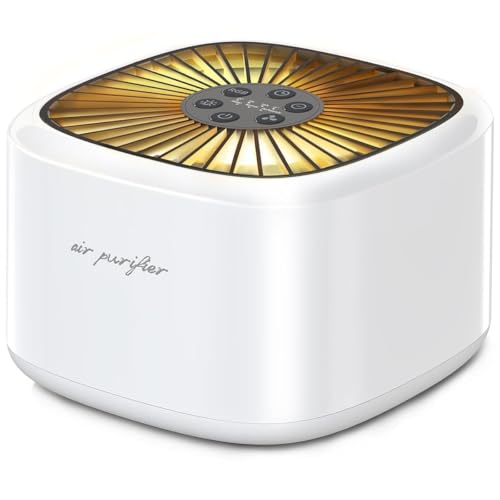 BeOkay Air Purifier Negative Oxygen Ion for Home HEPA Filter