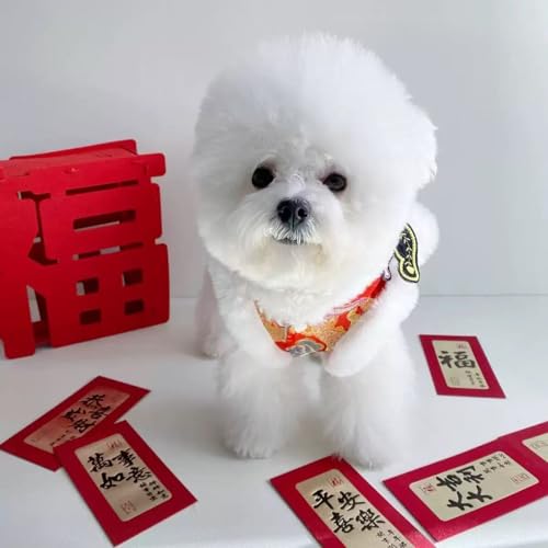 Disfraz de León para Perro Año Nuevo Chino Talla S miniatura 2