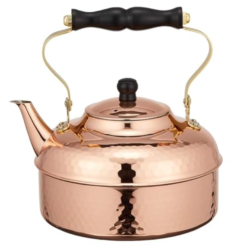 �V������(Sinkoukinzoku) �₩�� ���� �Ȗړ���P�g�� �M�`�� �����O���C�t�f�U�C���� �K�X�Ή� �R�ۍ�p �������� �u�����Y ���{�� ���O��2000ml S-810H