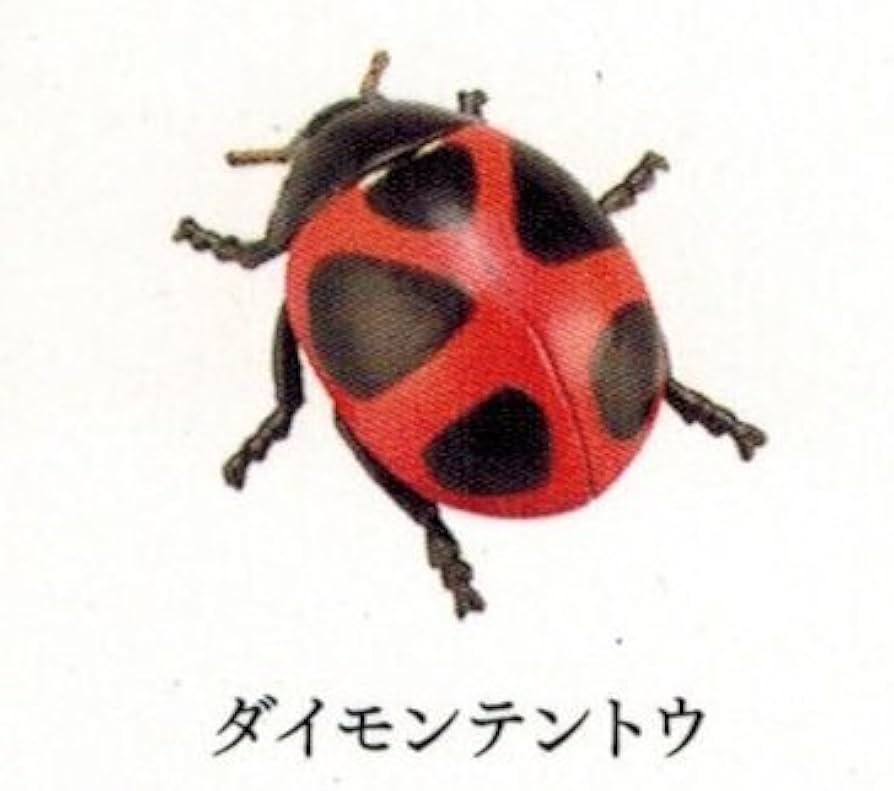 詰替え 日本の動物コレクション8 日本アルプス編 - 通販
