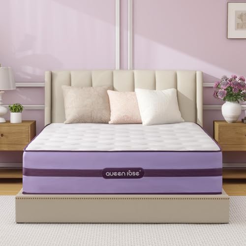 Queen 12" Plush Hybrid Mattress with Lumbar Support