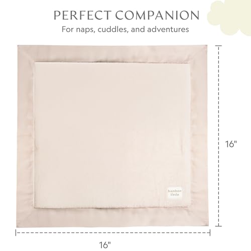 Image of Ultra-Soft Lovey Security Blanket Plush, Satin Trim 16x16 Pink