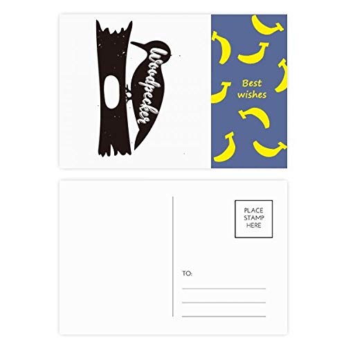 Cartes postales Pivert noir et blanc 20pcs : ne manquez plus jamais de carte merci