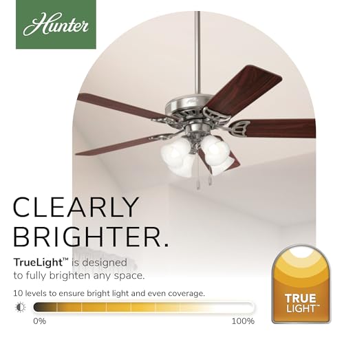 Image of Hunter Studio Series, Indoor, Ceiling Fan, Quiet, 52 inch, Brushed Nickel