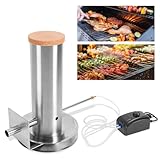 Peviasot Generatore di fumo per affumicatore elettrico con pompa, portatile per affumicatura elettrico, barbecue, generatore di fumo freddo per fumare pesce, carne