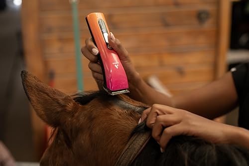 Image of Andis 562745 ProClip 5-in-1 Cord /Cordless Clipper, 5 Speeds, Sunset | Adjustable blade sizes 9-40 (2mm-0.25mm), 4,500-6,500 SPM, USB-C charging, dog grooming clipper