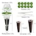 107pcs Seed Pod Kit for Aerogarden, Hydroponics Garden Accessories for System Compatible with Hydroponics Supplies from All Brands, 32 Grow Sponges, 12 Plant Baskets & Domes, 50 Pod Labels, 1 Tweezer