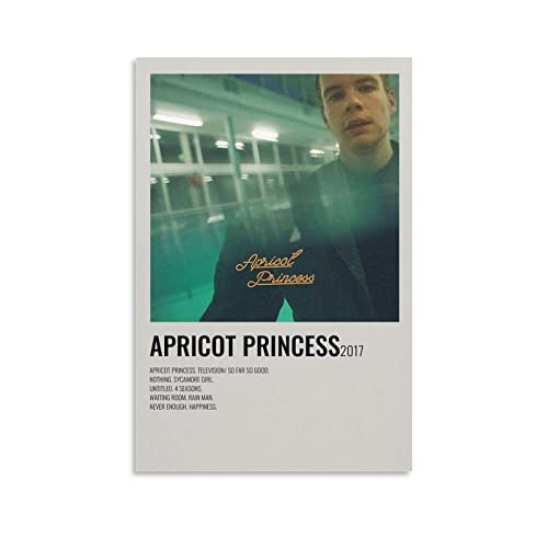 Affiche Rex Orange County abricot pour décorer un salon