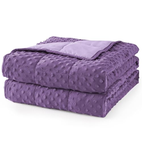 Image of Mr. Sandman Weighted Blanket for Adults Queen Size 20 lbs, Soft Cooling Heavy Minky Blanket for Sleep, Washable Throw Blanket with Glass Beads, 60 x 80 Inches, Purple /Lavender