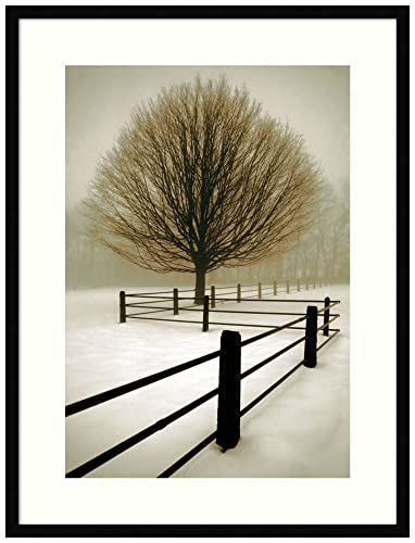 Amanti Art Framed Wall Art Print 33x25 Solitude by David