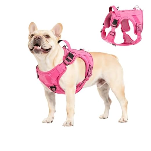 VavoPaw Matningsmatta för husdjur, vattentät upphöjd kant hund katt matningsmatta matkvalitet silikon halkfri matta hundskål bordsunderlägg XL 60 x 40 cm/24 tum x 16 tum – Celadon