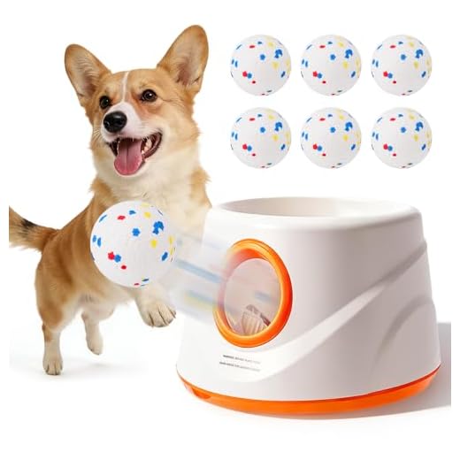 Automatische Ballwurfmaschine für Hunde