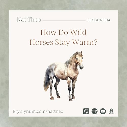 How Do Wild Horses Stay Warm? Lesson 104 Podcast Por  arte de portada