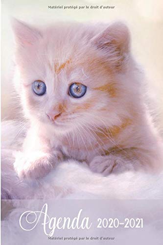 Télécharger Agenda 2020-2021: Agenda Scolaire 2020-2021 – Organisateur Journalier – Idéal pour étudiant (p Gratuit