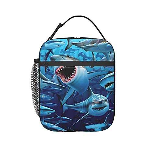 lunch box shark tank - Hungry Sharks Insulated Lunch Box Bag Portable Lunch Tote For Women Men And Kids