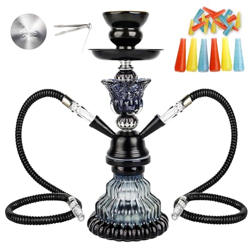 2 Hose Hookah Set - 11"Small Shisha Hookah Set with Glass Vase, Ceramic Bowl, Leather Hose, Coal Tongs Ashtray,Hookah Foil and 20 Hookah Tips (Black)