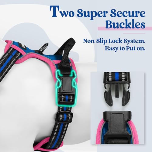 Image of rabbitgoo Dog Harness No Pull with 2 Leash Clips, Adjustable Soft Padded, Reflective Oxford No Choke Pet Vest with Easy Control Handle for Large Dogs, Blue & Hot Pink, M