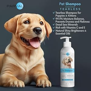   Natural-Dead-Sea-Puppies-and-Kittens-Tearless-Shampoo-250-ml-845-fl-oz-Gentle-Eyes-Safe-Antioxidant-Anti-Bacterial-Formula-Rich-with-Minerals-Extra-Scented-Easy-Application-Enjoy