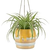 Walasis Bee Decor Hanging Planter: 6x4 Inch Opening Cute Flower Pot with Drainage - Ceramic Honey Plant Pot for Indoor Outdoor Garden Kitchen Bathroom