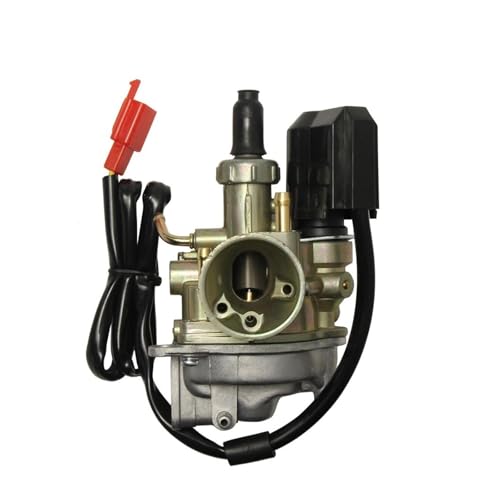 Carburateur 19 mm de précision supérieure pour moto 2T AF28 SK50