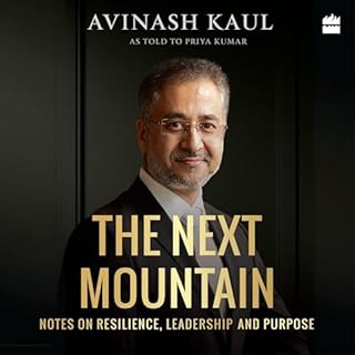 The Next Mountain cover art