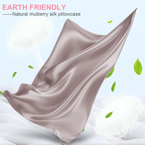 Mulberry Silk Pillow Cases 2 Pack Queen Size 20x30 Inches with Hidden Zipper, Ultra Smooth and Soft Breathable Cooling Silk Satin Pillowcase Set of 2, Better for Hair and Skin, Gifts for Women Men