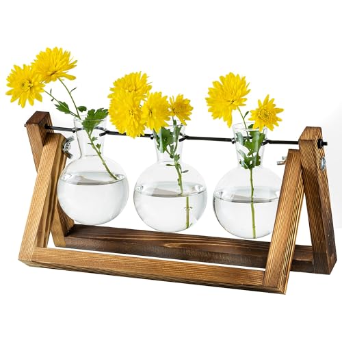 Glasseam Estación De Propagación para Plantas, Macetero con Bombilla De Actualización con Soporte De Madera, Maceta De Vidrio, Interior para Decoración De Mesa, Centro De Mesa, Accesorios Vintage