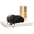 Barkbox Dog Bed | Memory Foam Mattress 3" High-Density for Orthopedic Joint Relief | Machine Washable Crate Mat with Removable Cover and Water-Resistant Lining | Includes Squeaker Toy