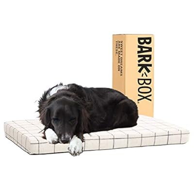 Barkbox Dog Bed | Memory Foam Mattress 3" High-Density for Orthopedic Joint Relief | Machine Washable Crate Mat with Removable Cover and Water-Resistant Lining | Includes Squeaker Toy
