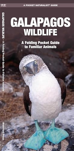 Galapagos Wildlife: A Folding Pocket Guide To Familiar Animals (A Pocket Naturalist Guide) (Pocket Naturalist Guide Series)