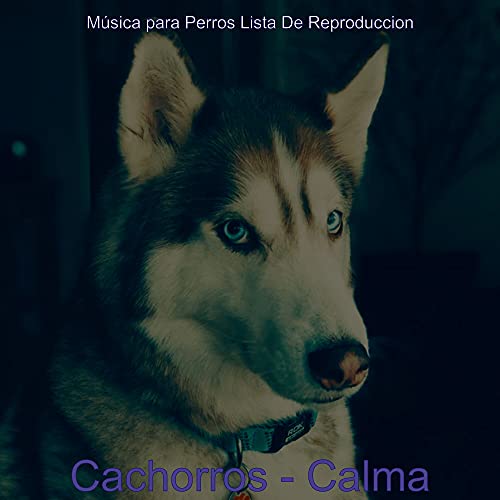 cachorros-calma-de-m-sica-para-perros-lista-de-reproduccion-en-amazon