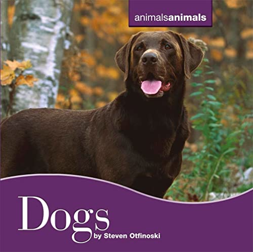 Dogs (Animals, Animals) view 2