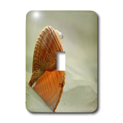 Impression coquille d'escargot de plage 3dRose déco murale zen pour chambre et salon
