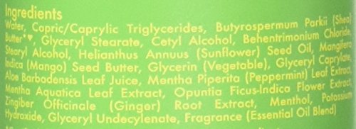 Shea Moisture African Water Mint & Ginger Detox Body Lotion, 13 Ounce #TOP3