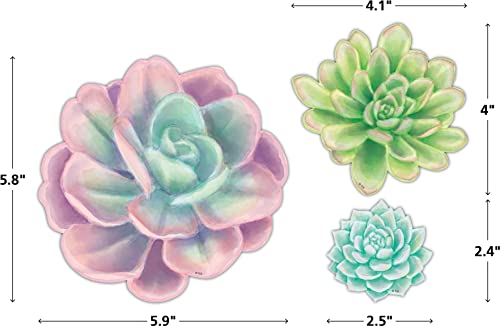 Succulentes Rustic Bloom multicolores pour illuminer votre bureau de travail