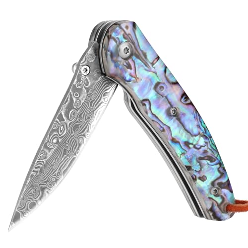 SAN TONG XIONG Damascus Pocket Knife,Real Damascus Steel Mini Cool Folding Knive with VG10 Core s,EDC Sharp Outdoor Camping Knife for survival,Hunting,Hiking,Natural Abalone Shell Handle